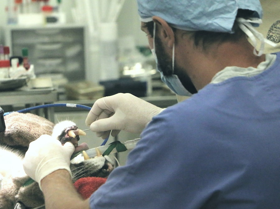 Hair Transplant Physician