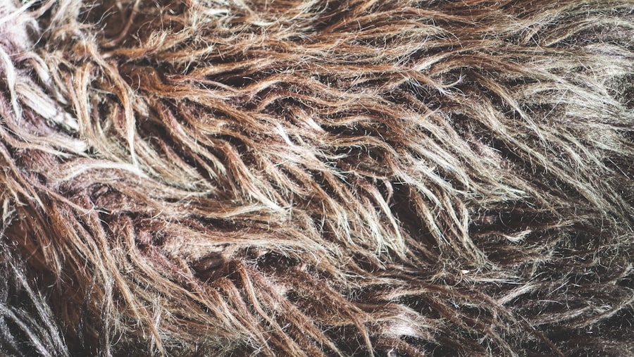 Hair Restoration