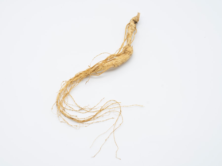 Photo Hair Transplant
